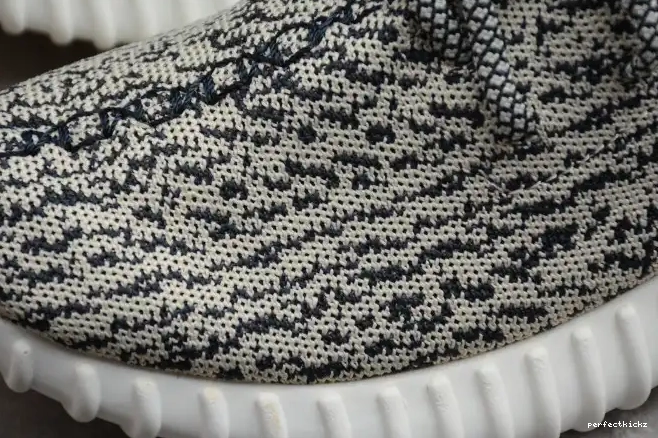 YEEZY Dove Boost 350 AQ4832 Adidas Turtle 0701